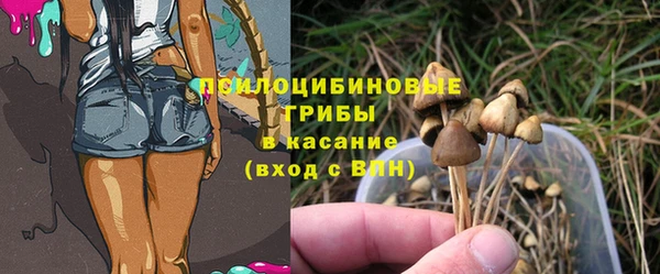 прущая мука Краснослободск