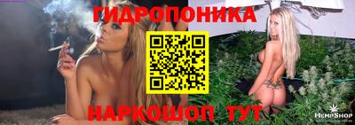 хмурый Бердск