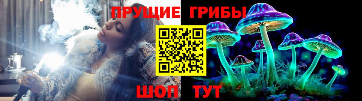 Псилоцибиновые грибы GOLDEN TEACHER  Вход с VPN  Липецк 